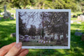 A hand holds a printed photograph or postcard of a cemetery scene labeled 'Springscapes | Oak Hill Cemetery | Lawrence, Kansas' against a blurred outdoor cemetery background with grass and trees.