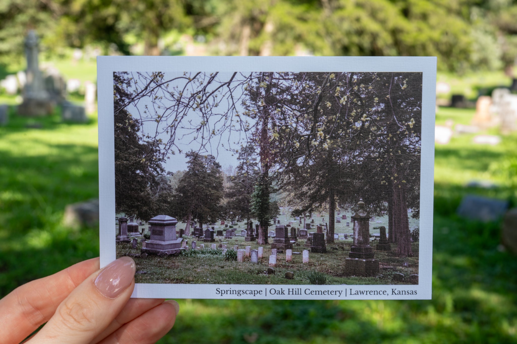 A hand holds a printed photograph or postcard of a cemetery scene labeled 'Springscapes | Oak Hill Cemetery | Lawrence, Kansas' against a blurred outdoor cemetery background with grass and trees.