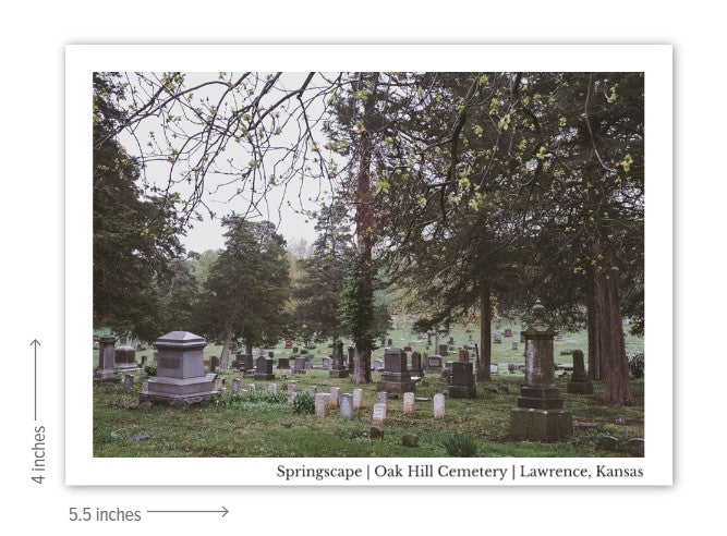 Springscape Post Card